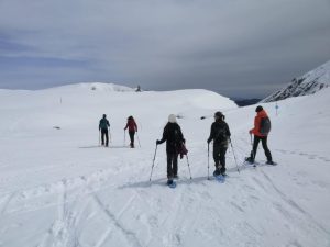 Excursionistes en raquetes de neu a Vallter amb raquetes de neu NaturActiva